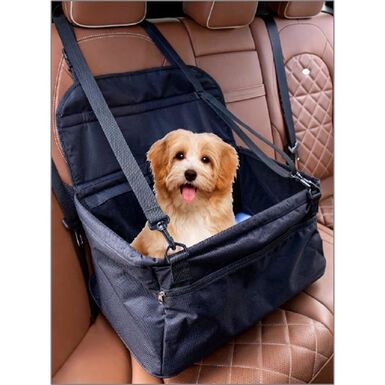 7 Accesorios básicos para viajar en coche con perro - Pinna the corgi